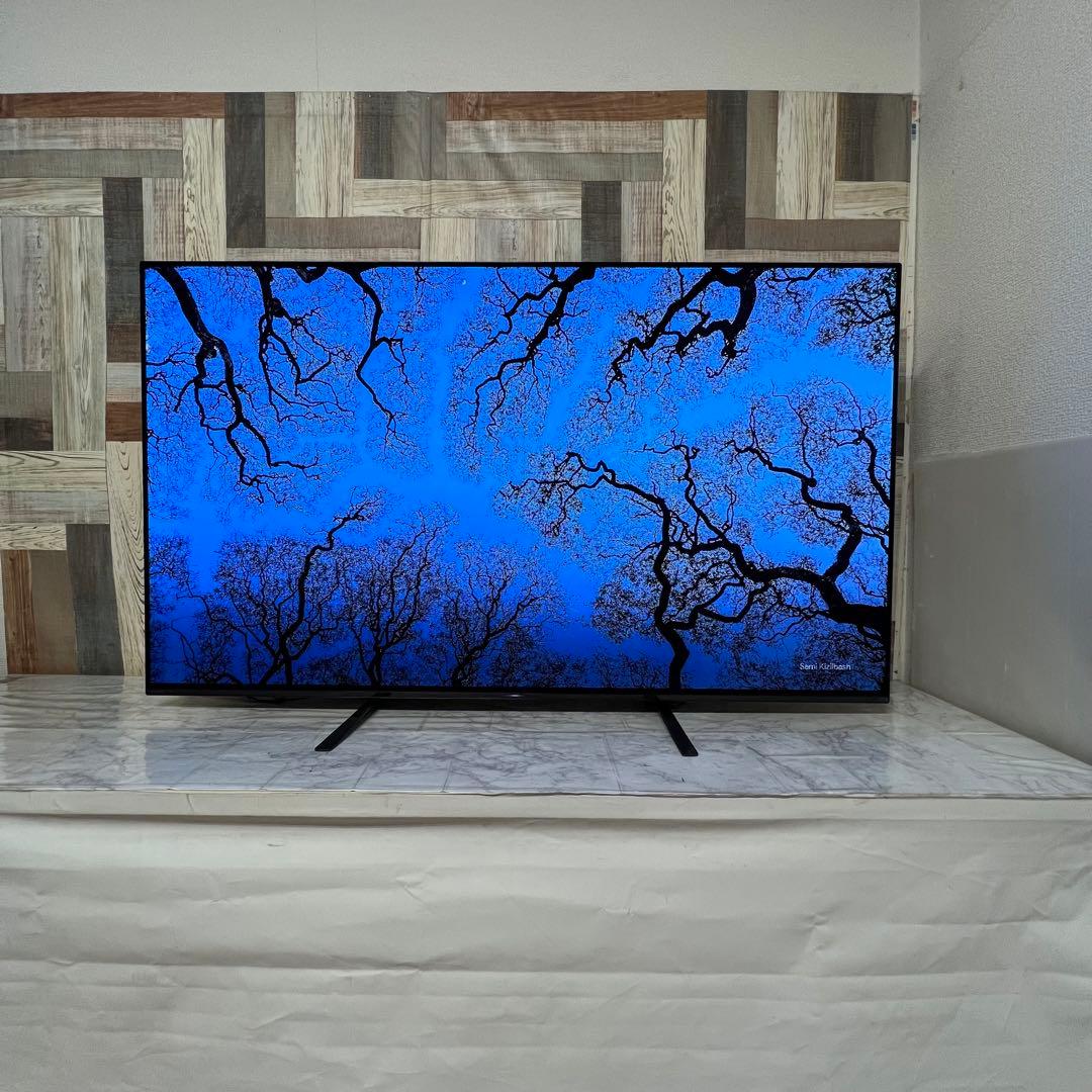 slept　ソニー 55V型 有機ELテレビ KJ-55A9G