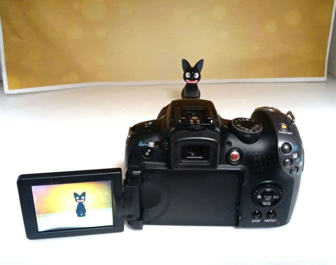 Canon PowerShot SX10 IS デジカメ　コンデジ　キャノン
