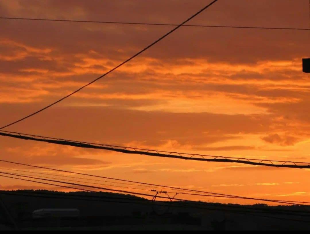 Canon PowerShot SX10 IS デジカメ　コンデジ　キャノン