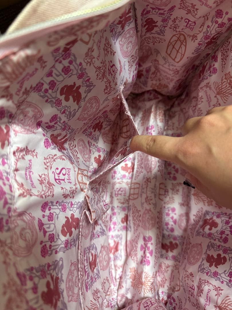 ファンタジースプリングス　ホテル宿泊者　バック