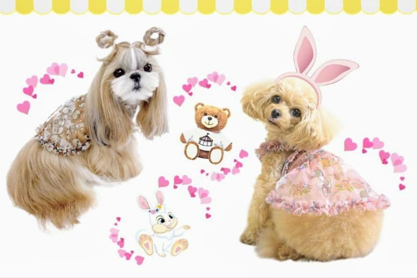 A　XS4点セット+クッション　サーカスサーカスCIRCUSCIRCUS