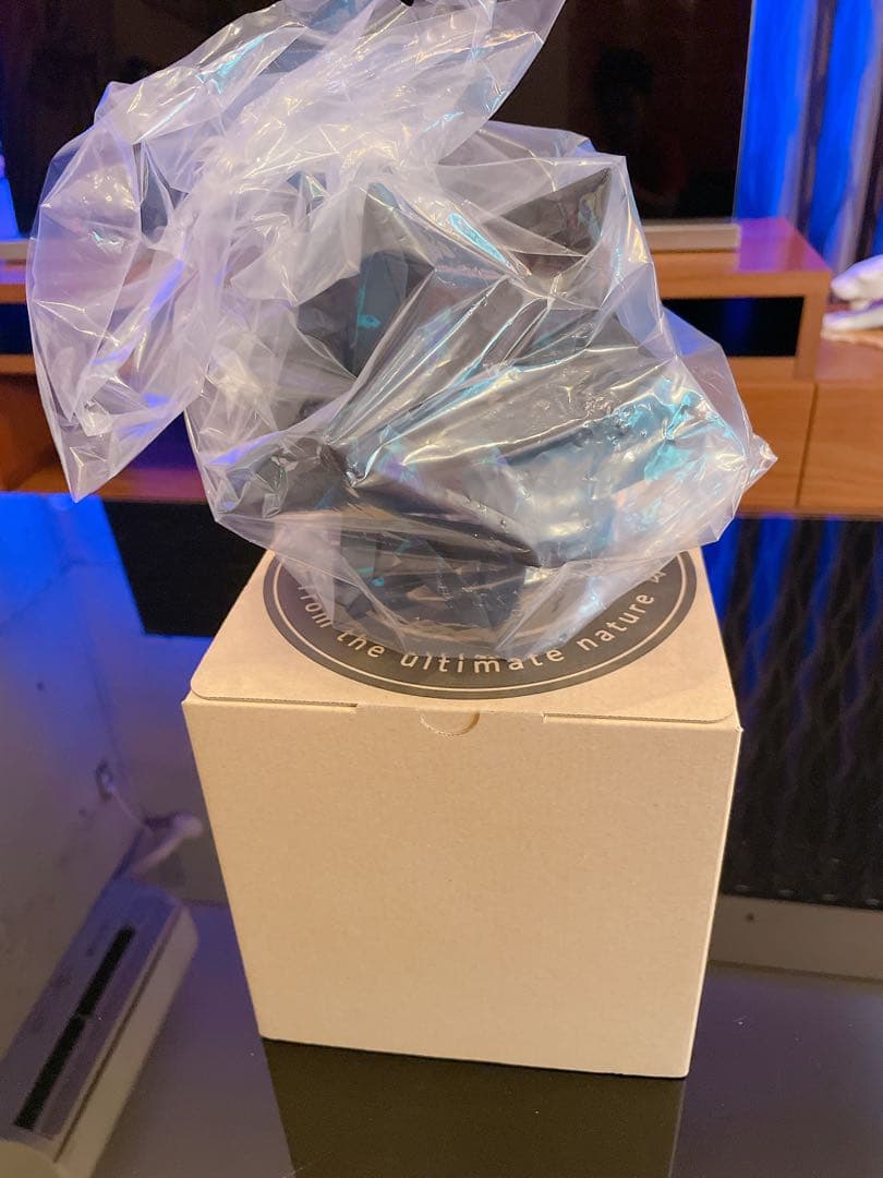 COLONISTA CONPE10 ver. -BLACK- 【 新品 】