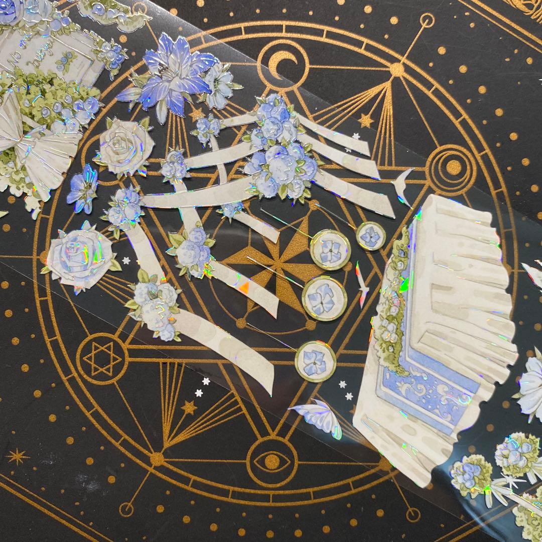 【9146】海外　マステ　中古巻　貝殻光マスキングテープガーデン　海　花　装飾系