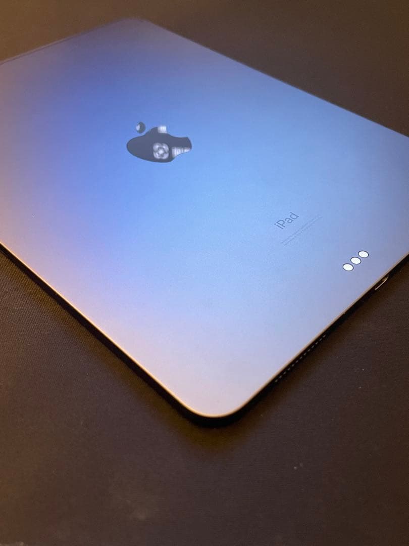 iPad Pro 11 （256GB）+ Apple Pencil 2 おまけ付