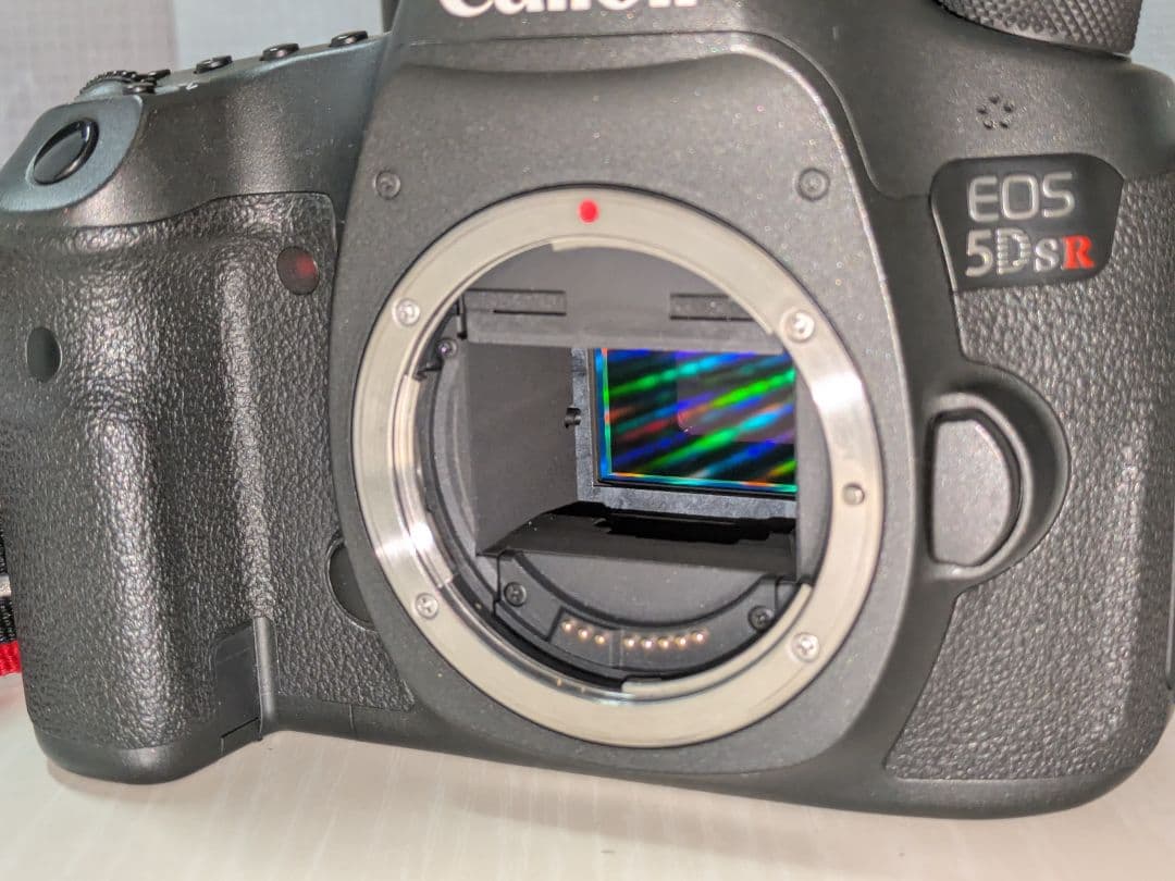 「WAZAKANA」Canon EOS 5Ds R デジタル一眼レフカメラ