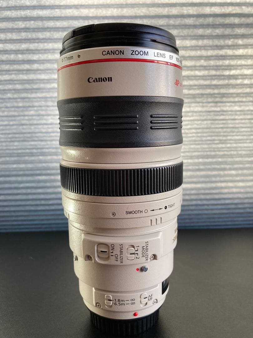 Canon EF 100-400mm ズームレンズ