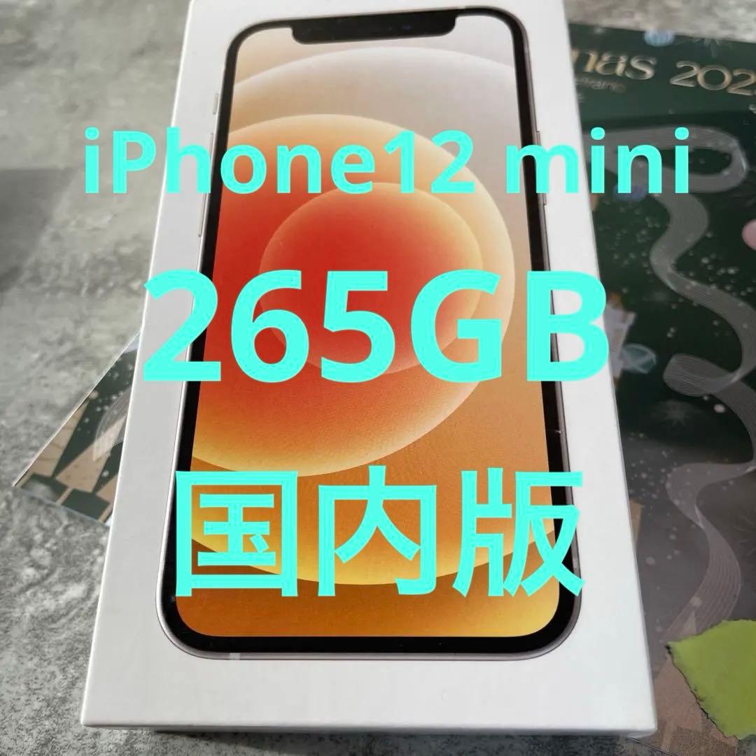 美品iPhone12mini 256GB本体国内版ホSIMフリースターライト
