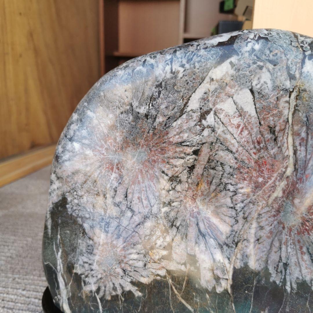 根尾谷産　菊花石　11.2キロ　鑑賞石　石　置物　オブジェ　インテリア　盆石