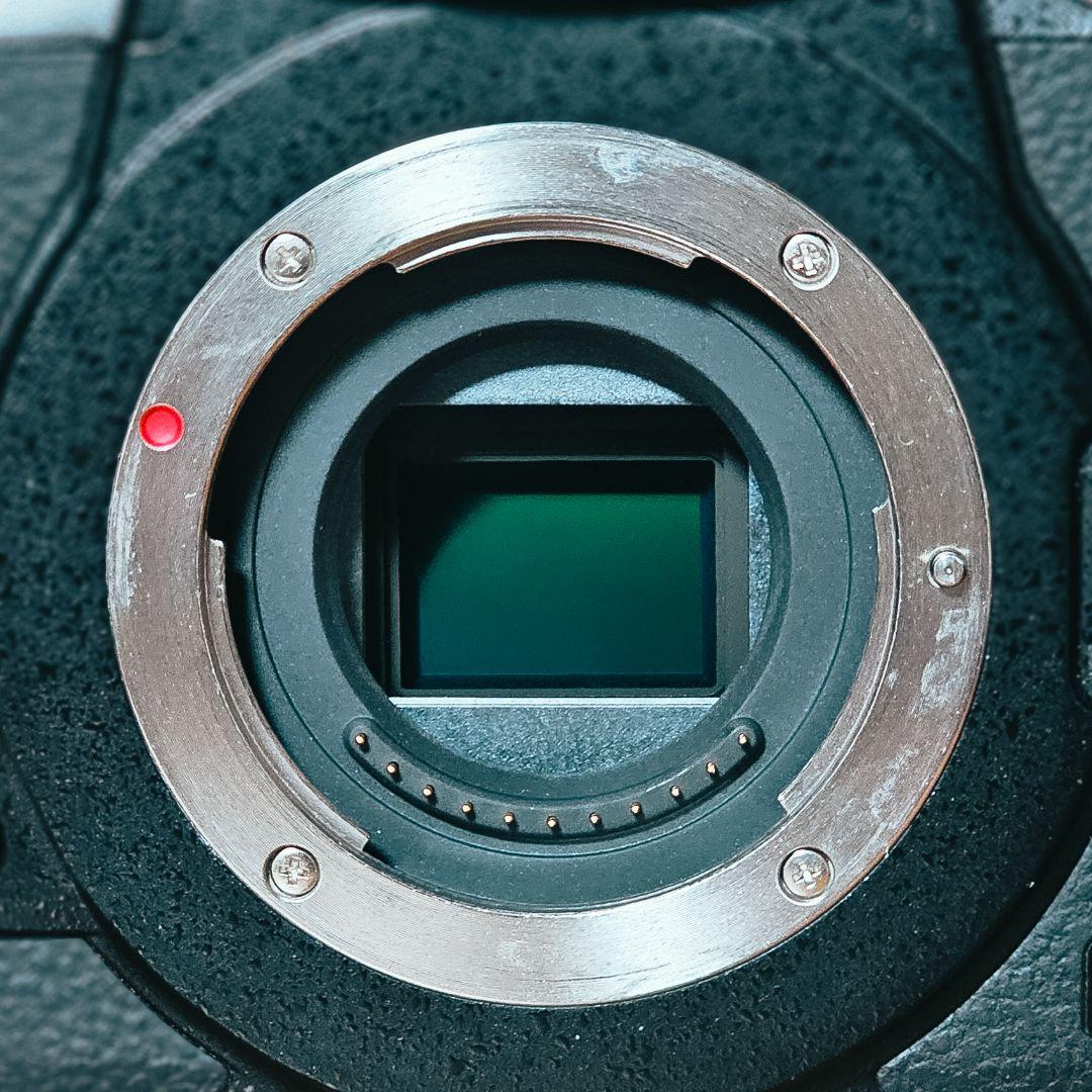 (専用)Lumix GH5/14-42mmレンズセット【vlogアプデ済み】