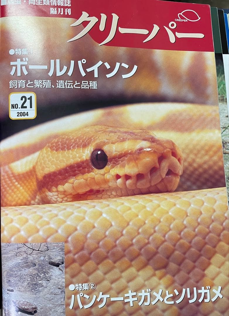 Creeper クリーパー No.19~24 6冊ファイルセット