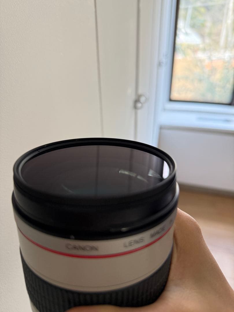 レンズ(ズーム) CANON ZOOM LENS EF 70-200mm 1:2.8 L