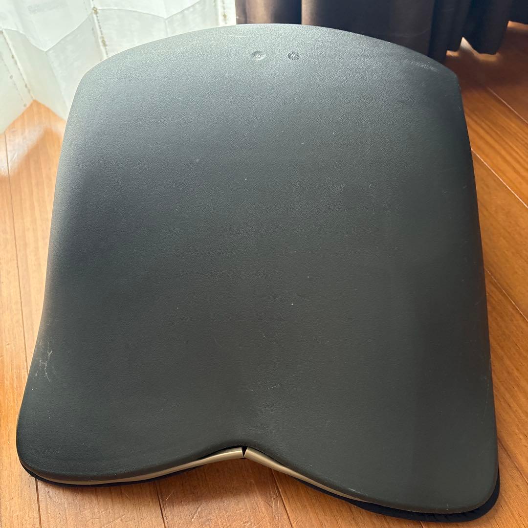 スタイルプレミアム姿勢矯正クッション ブラック 2個セット