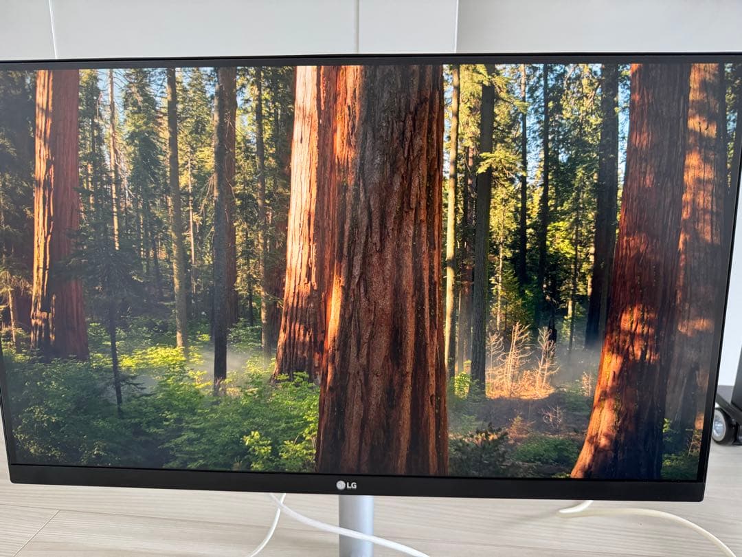 (ちぃさん専用) LG 27インチ 液晶モニター 27UL850-W