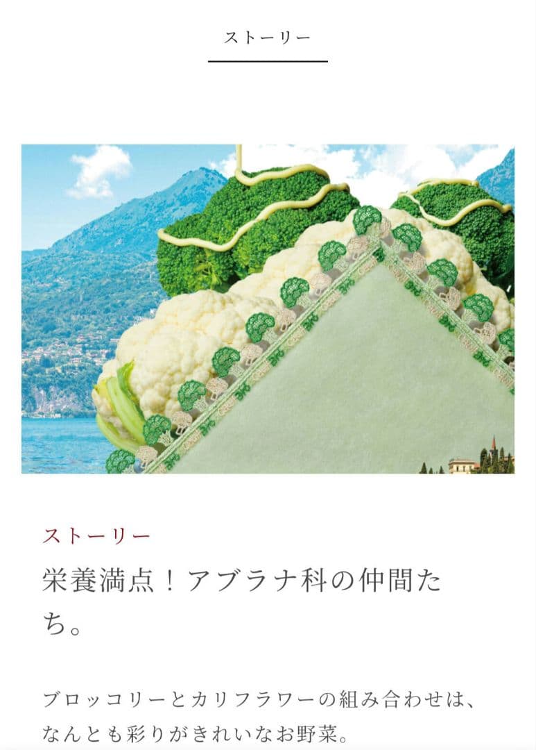 近沢レース 1月　シーズンタオルハンカチ　4枚組　ブロッカリ　ピザ　コンプリート