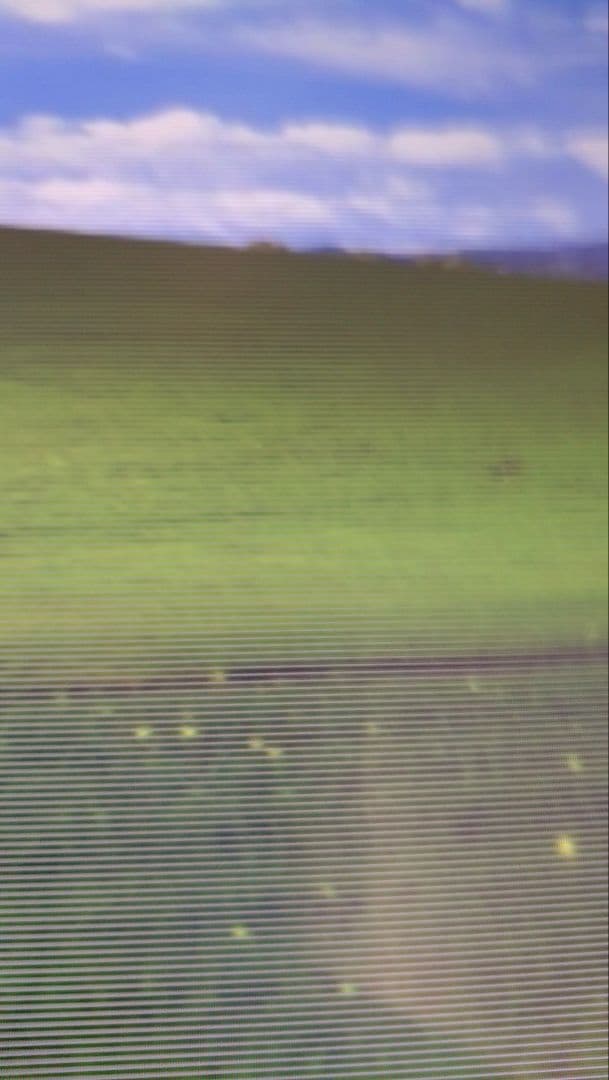 ASUS VG249QM1A ゲーミングモニター ジャンク