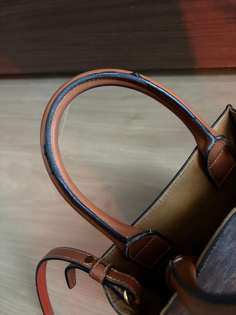 CELINE ミニバーティカル トリオンフ キャンバス ショルダーバッグ