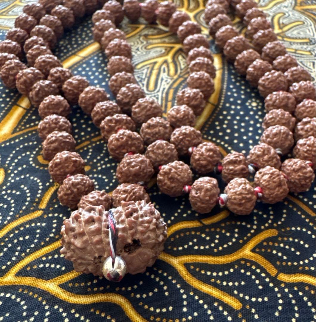 ルドラクシャマーラー　トップ　ガウリシャンカール　14ムキ　②