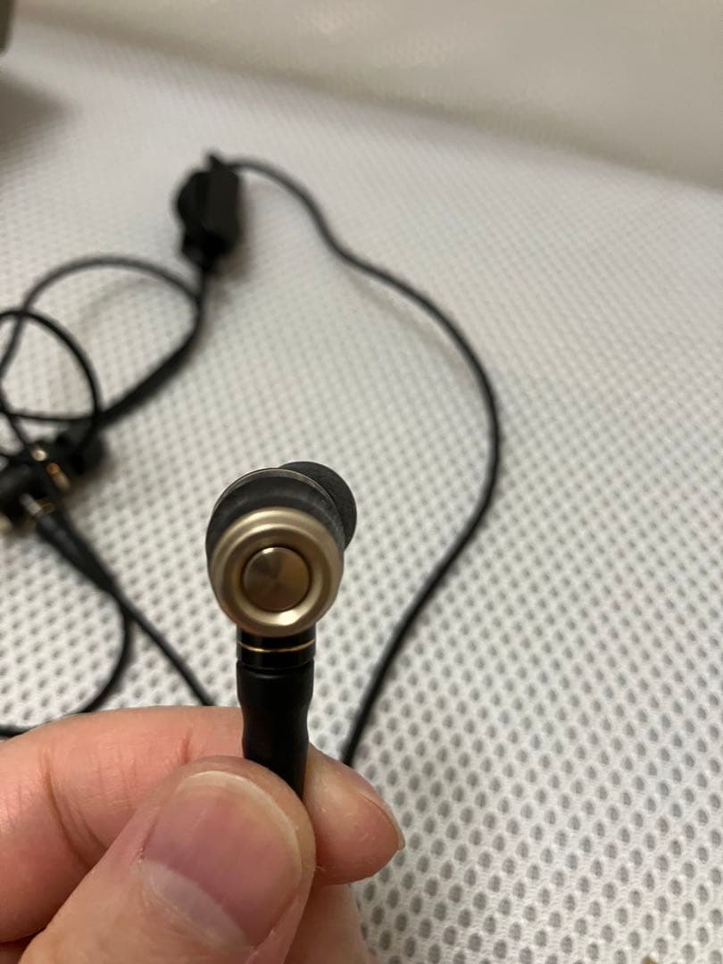 ほぼ未使用 JVC HA-FX1100 ウッドハウジング イヤフォン