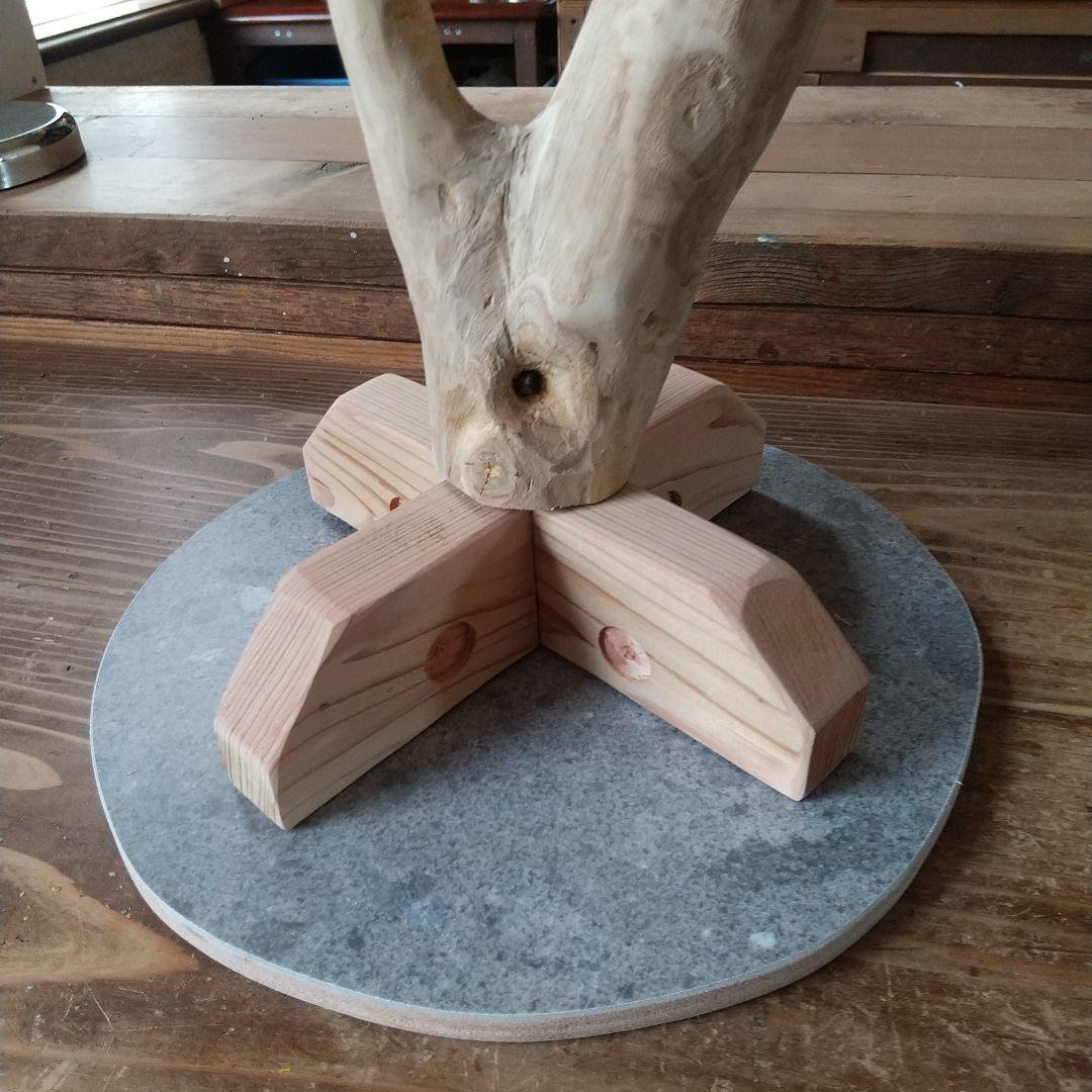 小鳥の楽園バードアスレチックツリージム