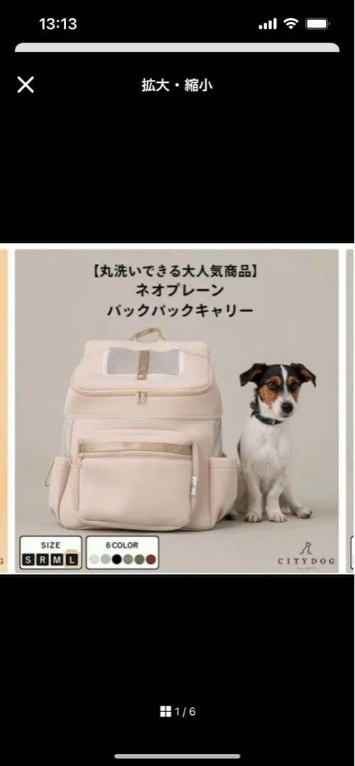 CITYDOG キャリーバッグ ホワイト
