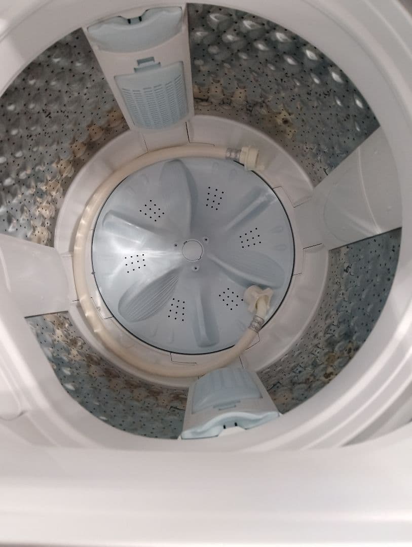 全自動洗濯機 全国配送設置無料 2024年 AW-7GM2 洗濯7.0k 東芝