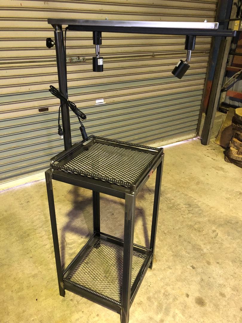 魅せる　アガベ育成棚