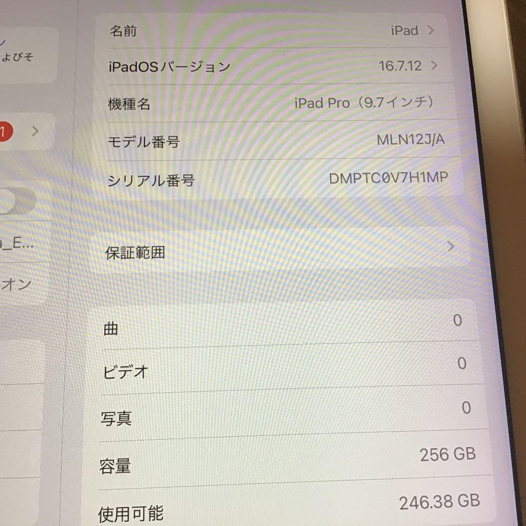 iPad Pro　9.7インチ　256GB　WiFi　画面赤みあり