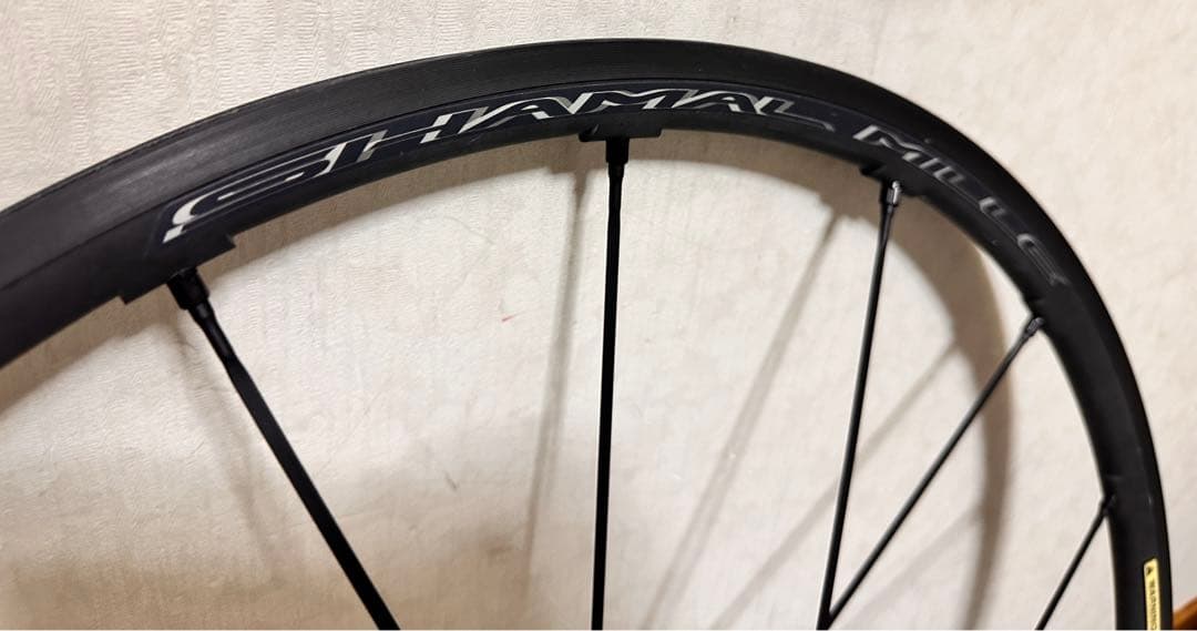 カンパニョーロ　シャマルミレ　15c