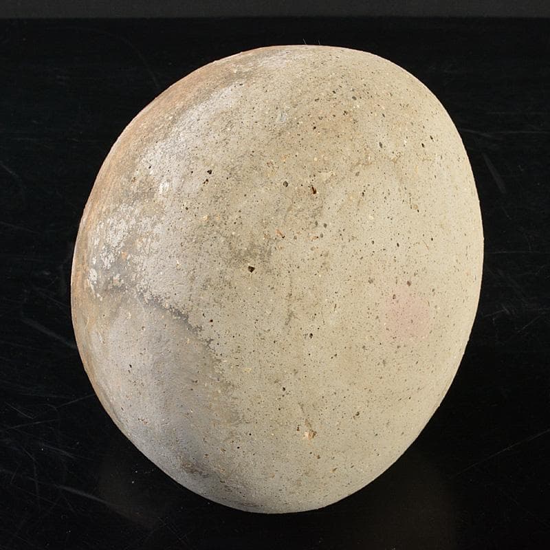 古陶器　須恵器　平瓶　V　R6308F