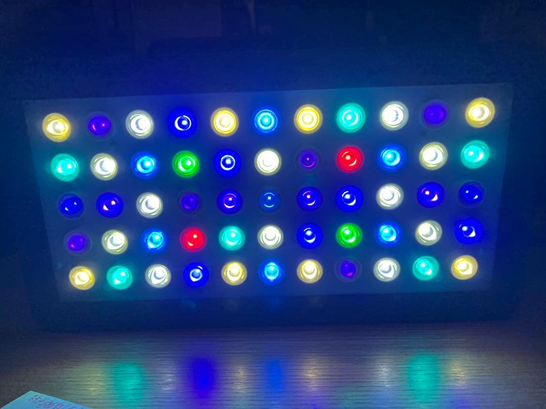 フルスペクトルLEDライト タイマー付シーンコントロール BLACK BOX