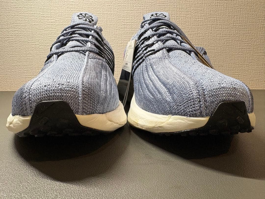 ナイキ ペガサス ターボ ネクスト ネイチャー 26.0cm