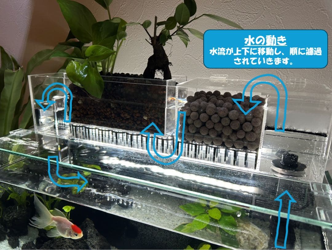 【格安】上部濾過アクアリウム水槽　アクアポニックス（観葉植物）仕様