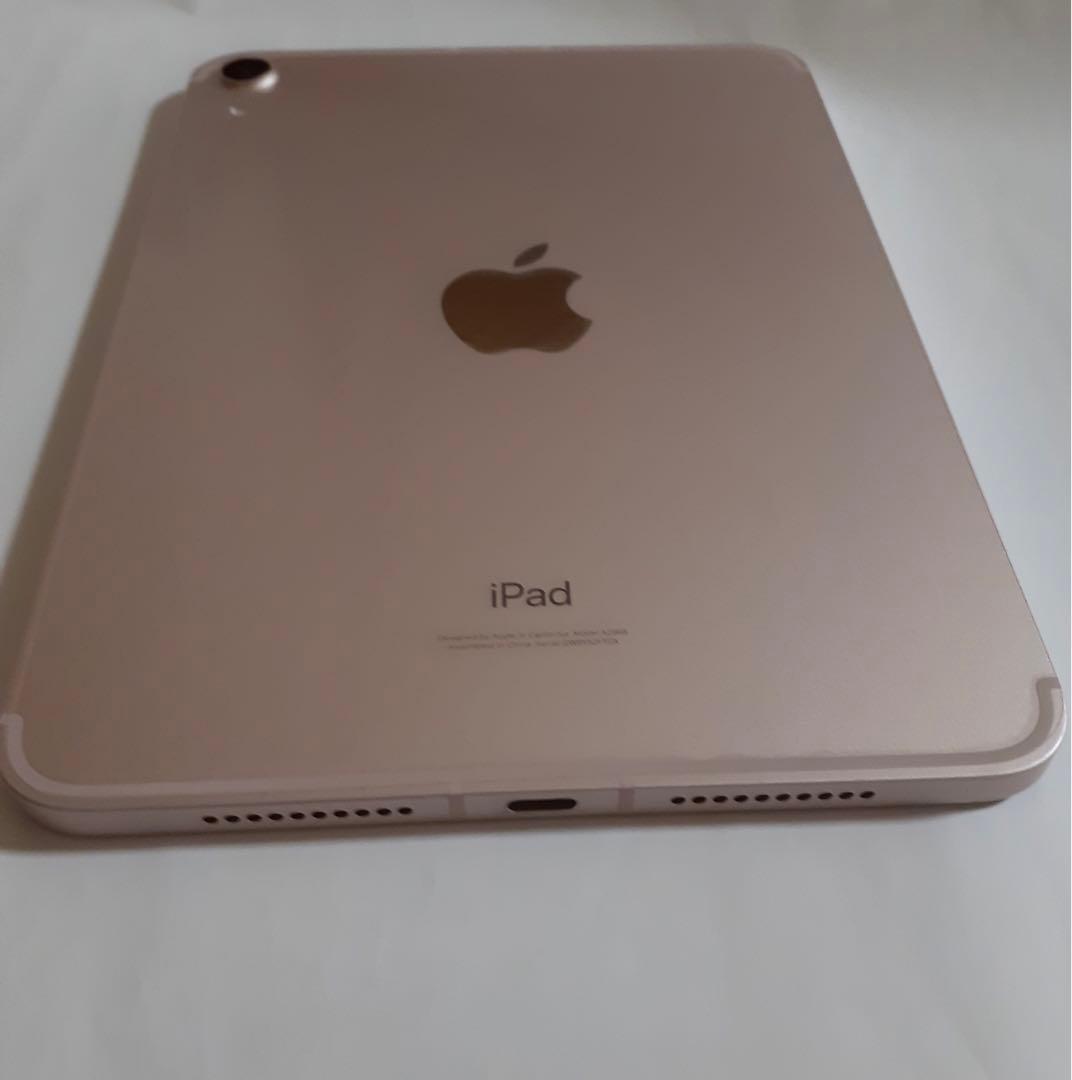 iPad mini6 256GB パープル cellular 【ジャンク】