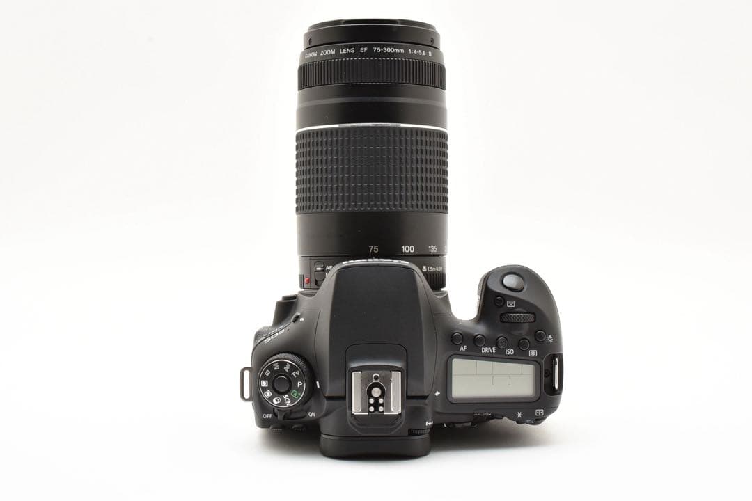 Canon EOS 90D望遠レンズセット/ Canon 75-300mm