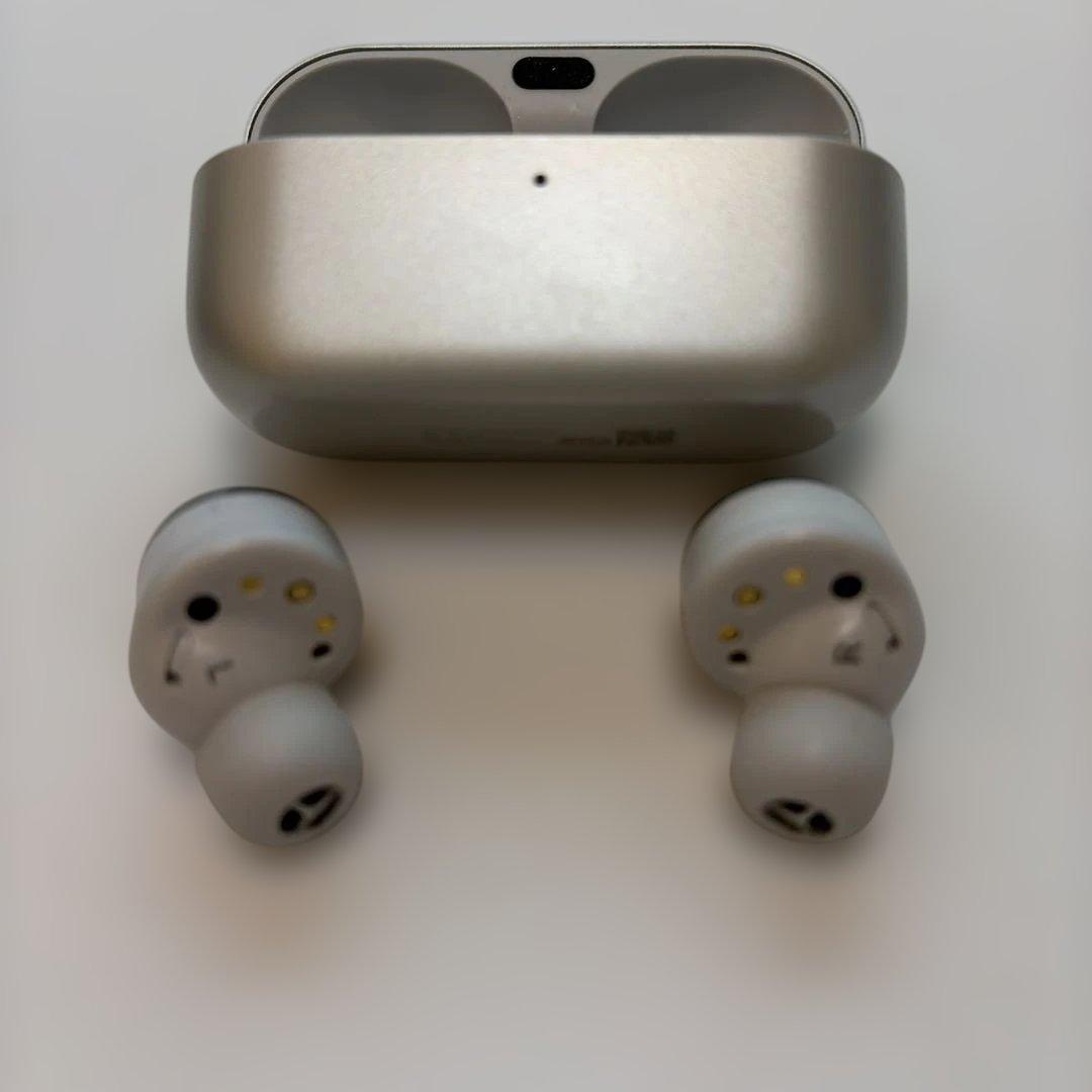 ツ*ロ様 Technics ワイヤレスイヤホン EAH-AZ100-S シルバー