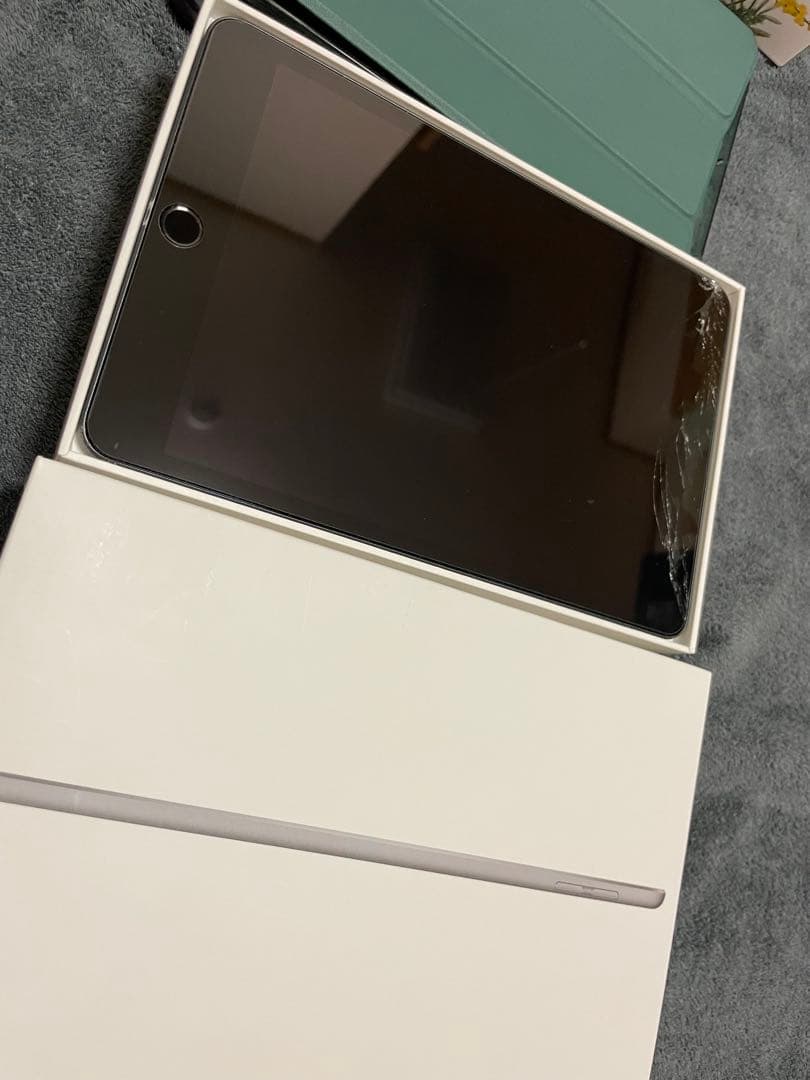 【画面割れ、欠け】iPad mini5/箱付き