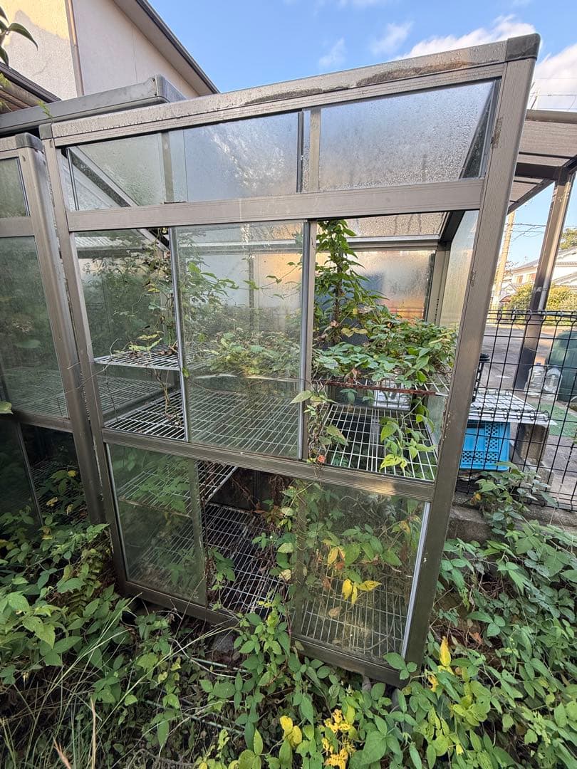 中型ガラス温室(3点セット)