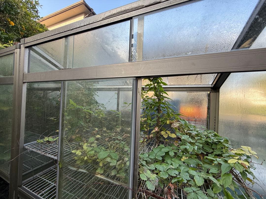 中型ガラス温室(3点セット)