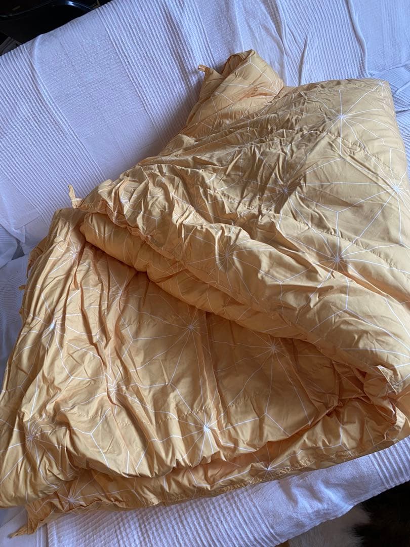 True Sleeper ホオンテック掛け布団プレミアム２枚セット