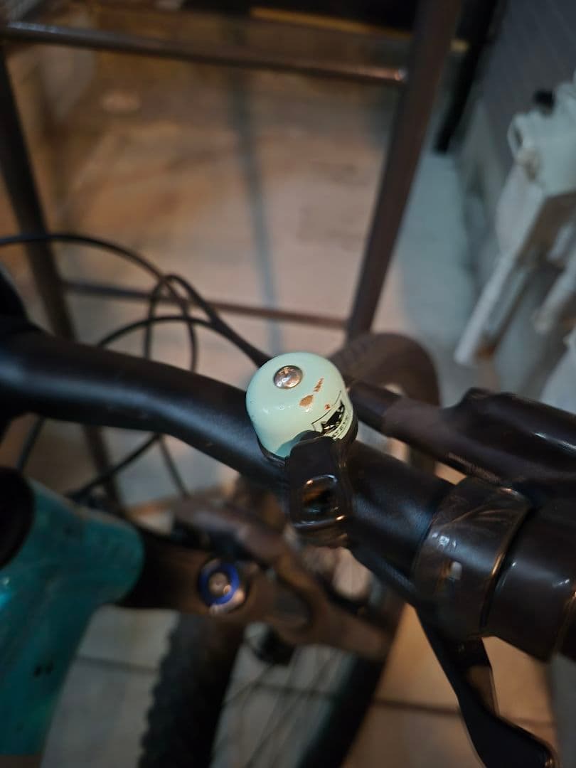 ROCKHOPPER EXPERT29インチ　Mサイズ⚠️説明欄⚠️引き取り限定