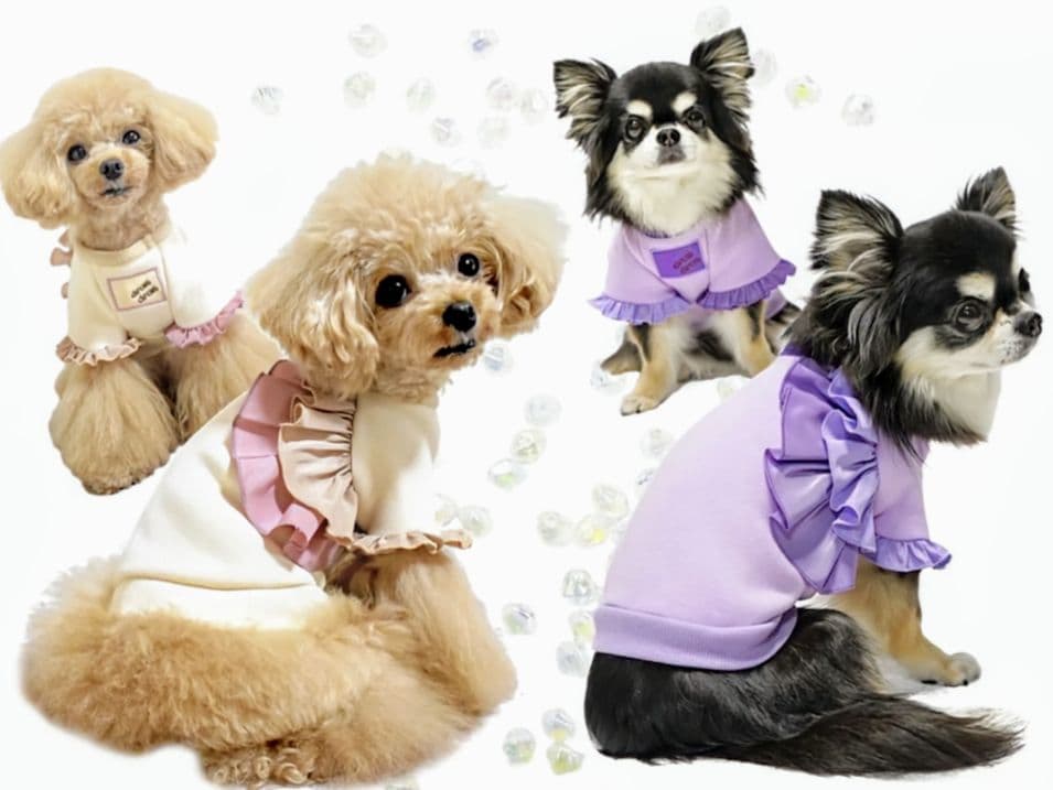 新品タグ付 SWEAT＋SWING スカート２枚サーカスサーカスcircus