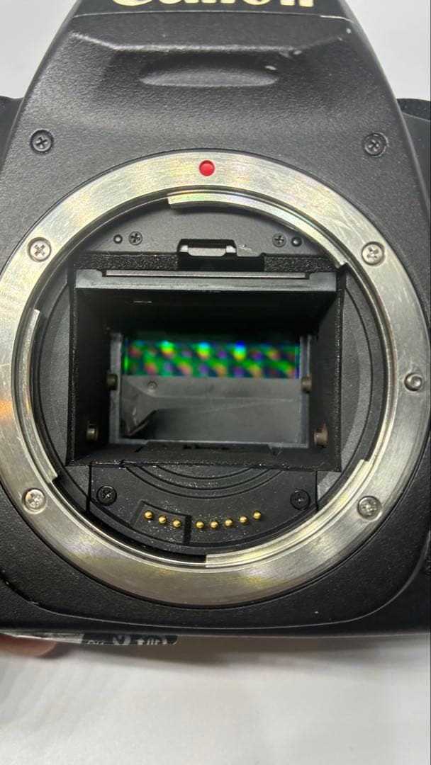 【ジャンク】 Canon EOS 5D Mark II バッテリーセット