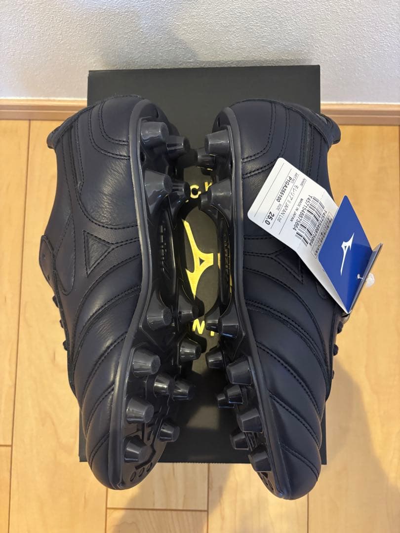 Mizuno Morelia Japan LTD モレリア 25 25.0