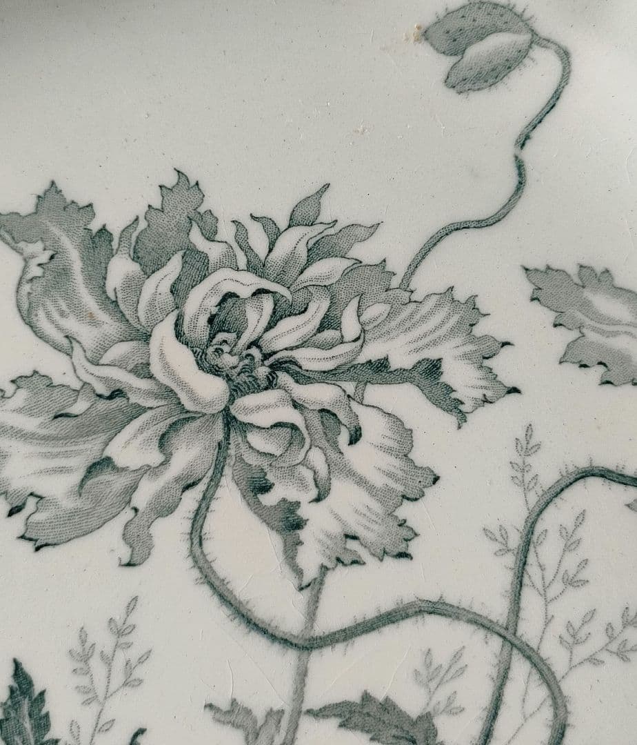 希少　美品　ジョワジールロワ　PAVOTS　コンポティエ　フランスアンティーク