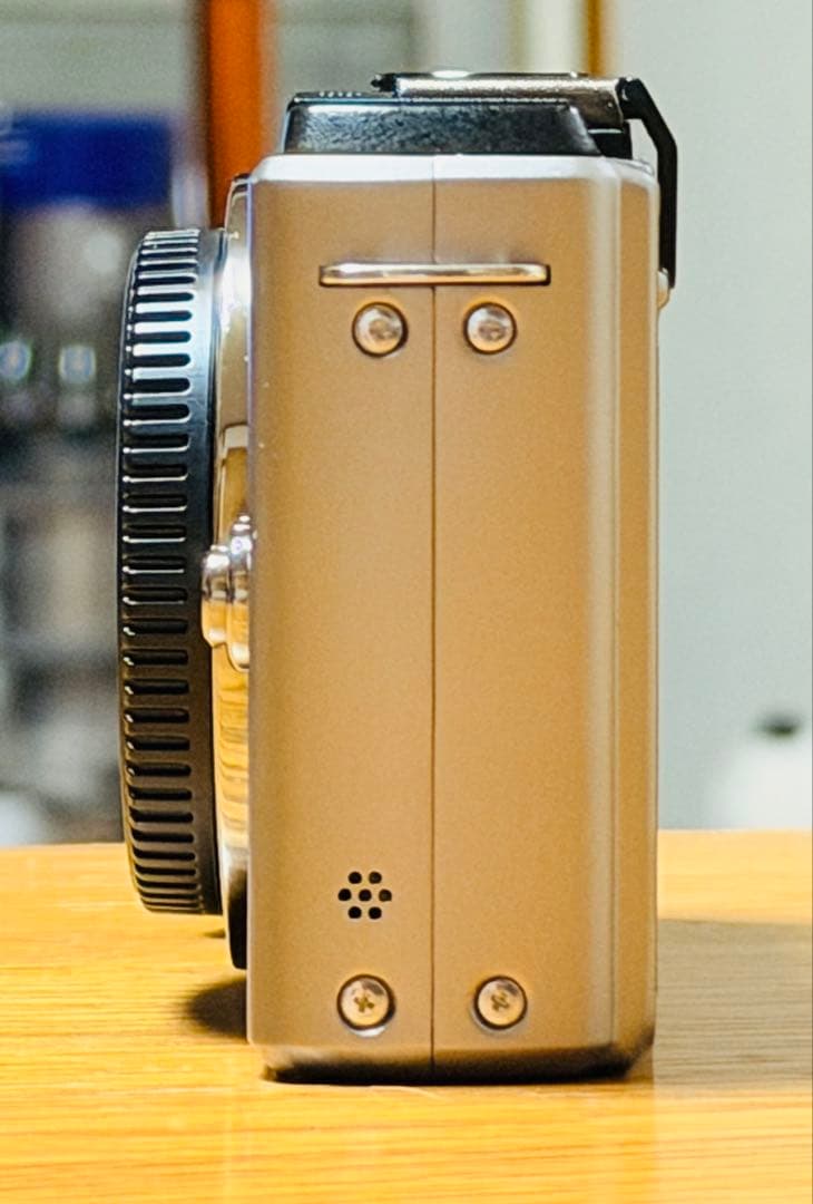 パナソニック LUMIX DMC-GX1 ボディ 美品