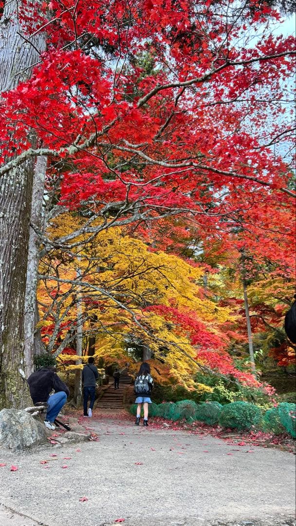 h*7様 iPhone13pro 256GB シエラブルー