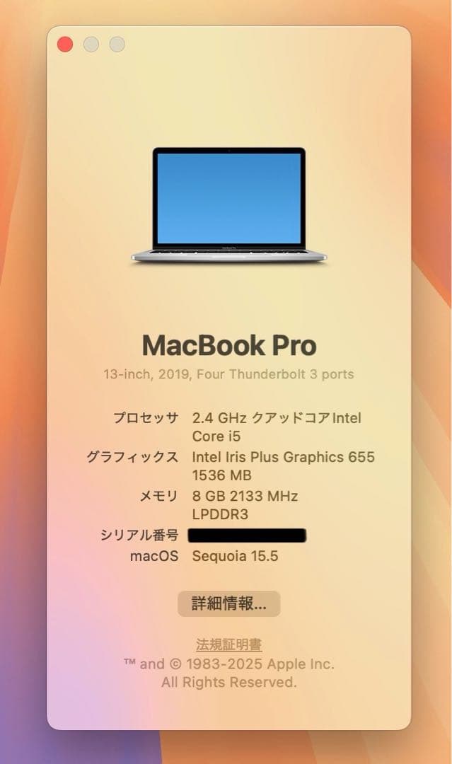 【即日発送】Macbook PRO 2019 バッテリー良好