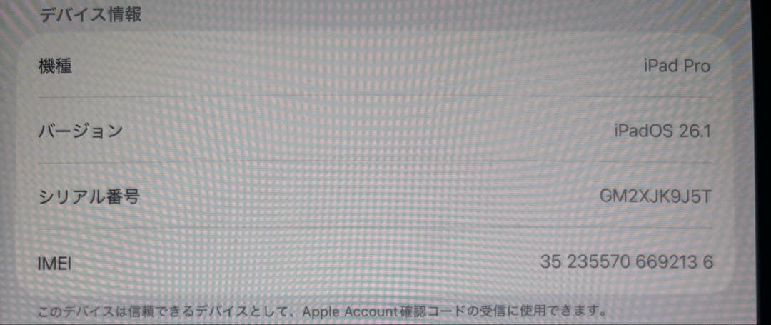 マ*パ様 M5 13インチiPad Pro Wi‑Fi+Cellular 1TB