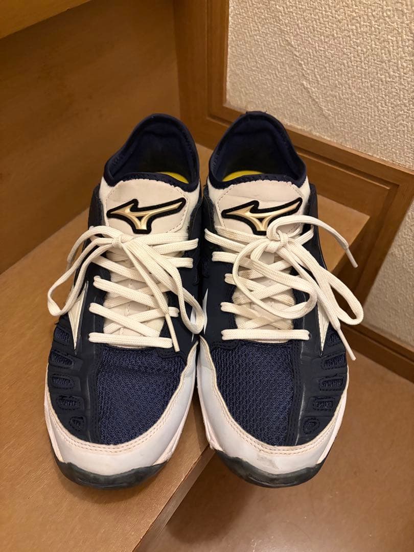 Mizuno グローバルエリート　トレーニングシューズ