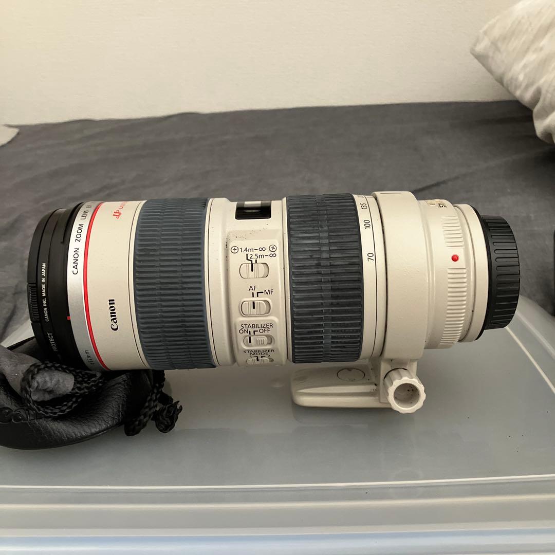 EF 70-200 f/2.8L IS USM +EF1.4 ✖️Ext Ⅲ